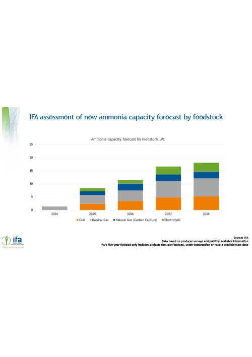 Green Ammonia Market Outlook